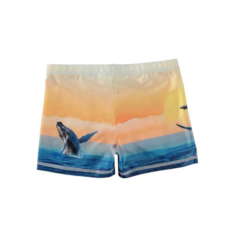 Molo Norton Placed Swimshorts Ocean Smile | ZA0001144