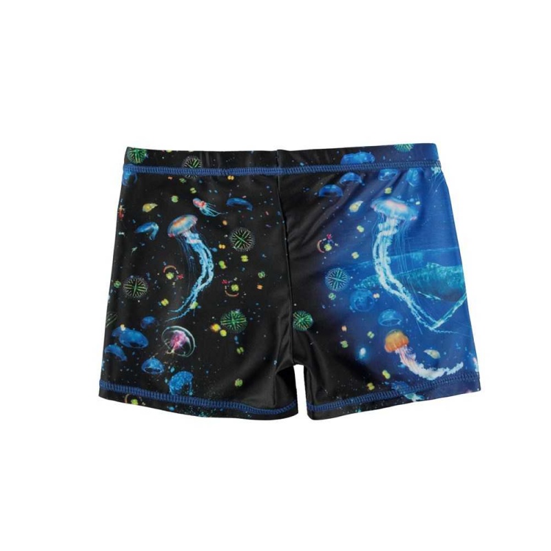 Molo Norton Placed Swimshorts Plankton | ZA0001151