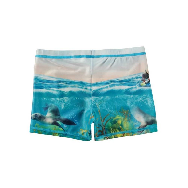 Molo Norton Placed Swimshorts Sealion | ZA0001114