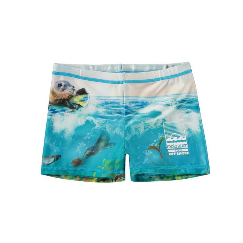 Molo Norton Placed Swimshorts Sealion | ZA0001114