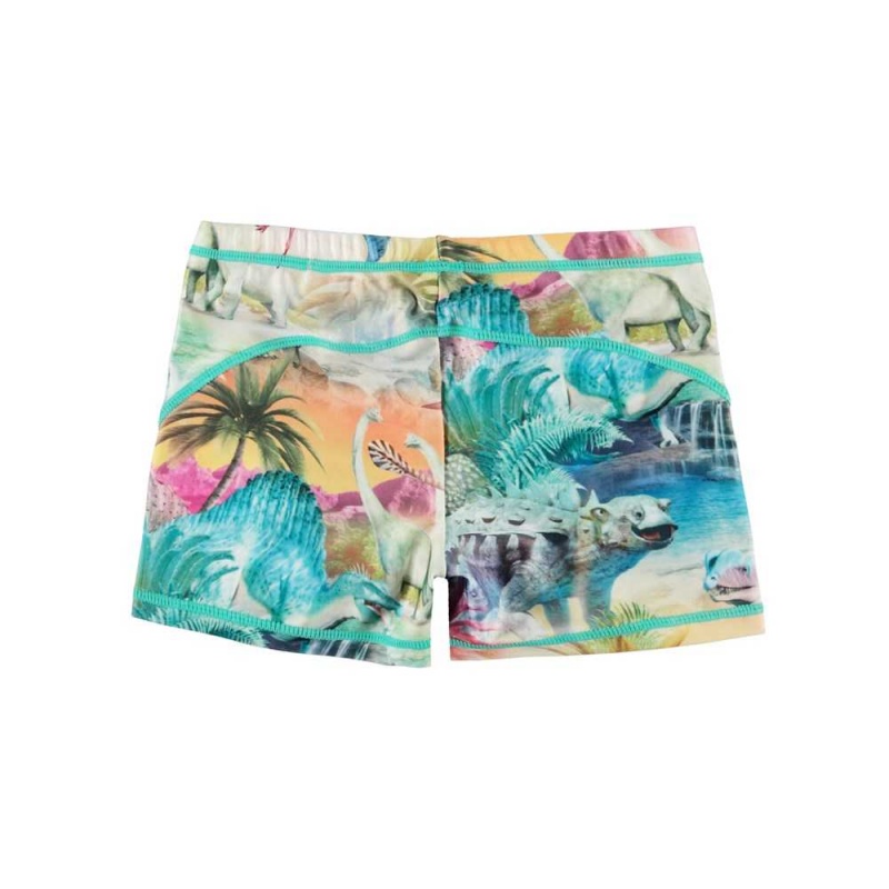 Molo Norton Swimshorts Dino Paradis | ZA0001133