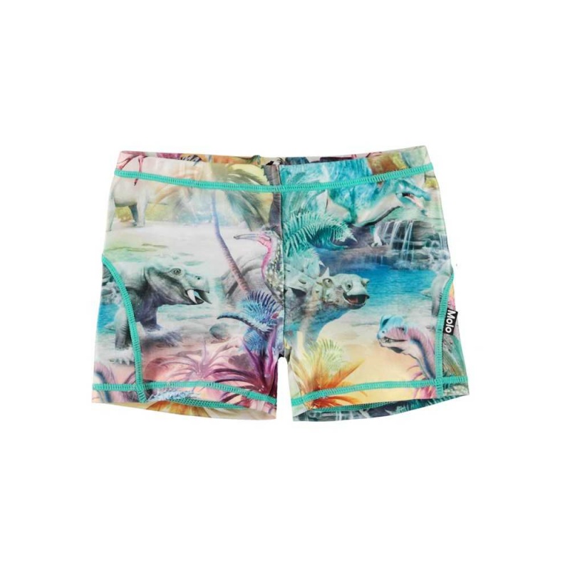 Molo Norton Swimshorts Dino Paradis | ZA0001133