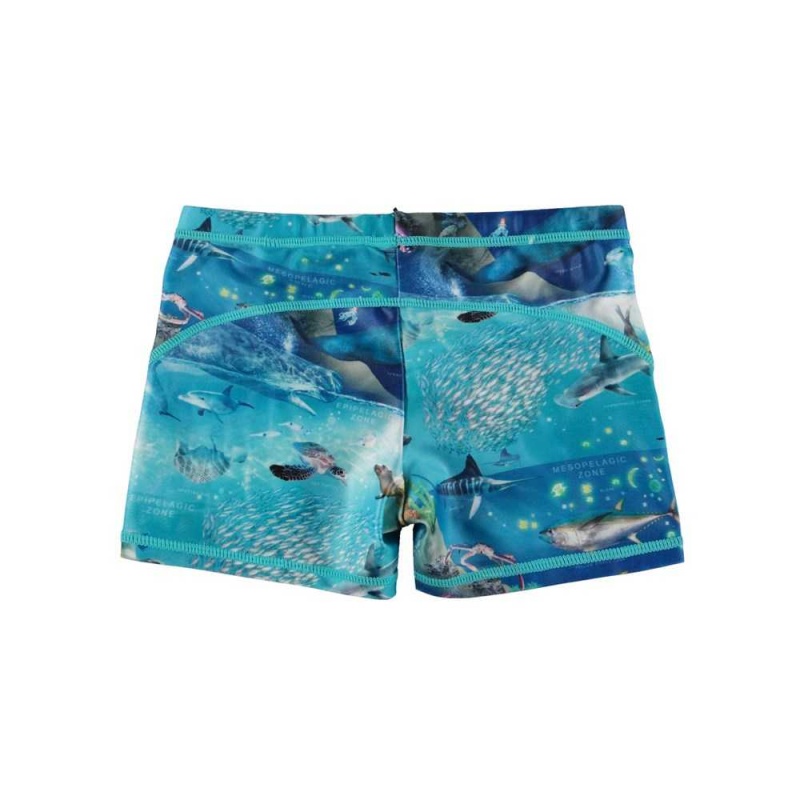 Molo Norton Swimshorts Ocean Zones | ZA0001136