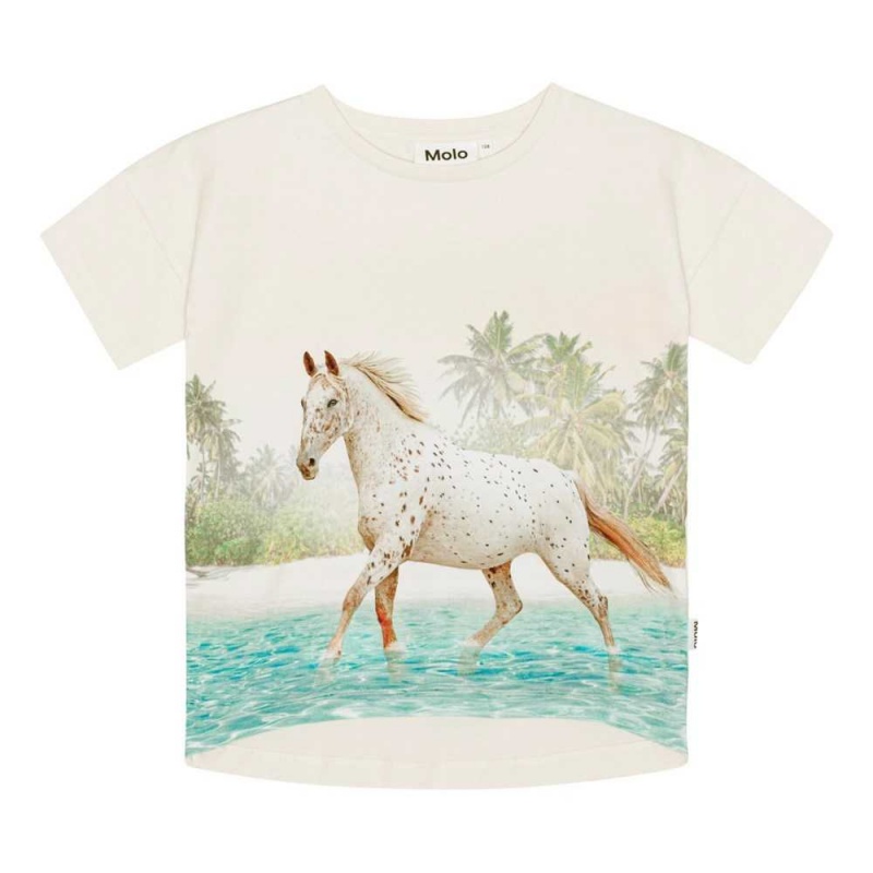 Molo Raeesa Girls\' T Shirts Tops Horse On Beach | ZA0000523