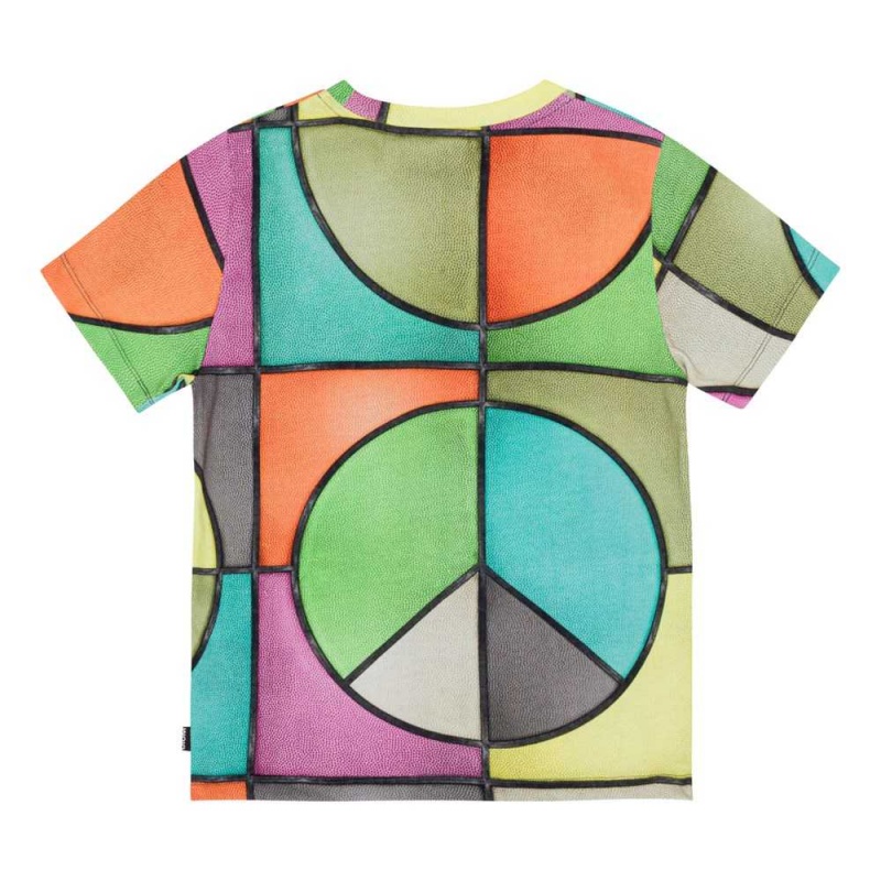 Molo Ralphie Boys' T Shirts Tops Basket Colour | ZA0000779