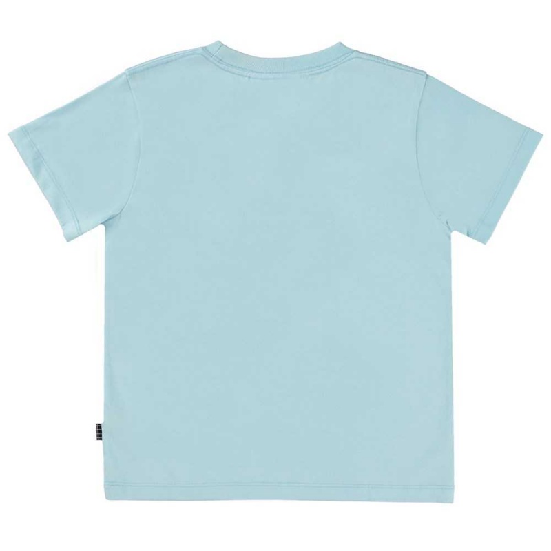 Molo Rame Boys' T Shirts Tops Water Smile | ZA0000634