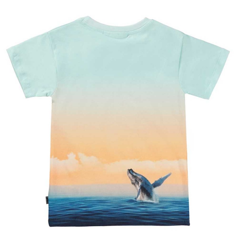 Molo Raul Boys' T Shirts Tops Ocean Smile | ZA0000631