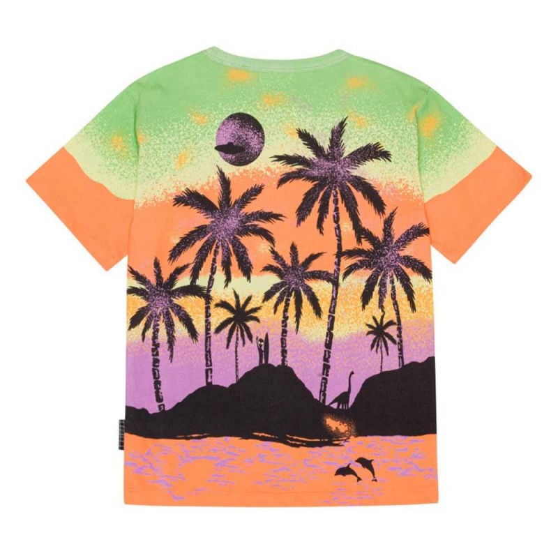 Molo Riley Boys' T Shirts Tops Alien Island | ZA0000773