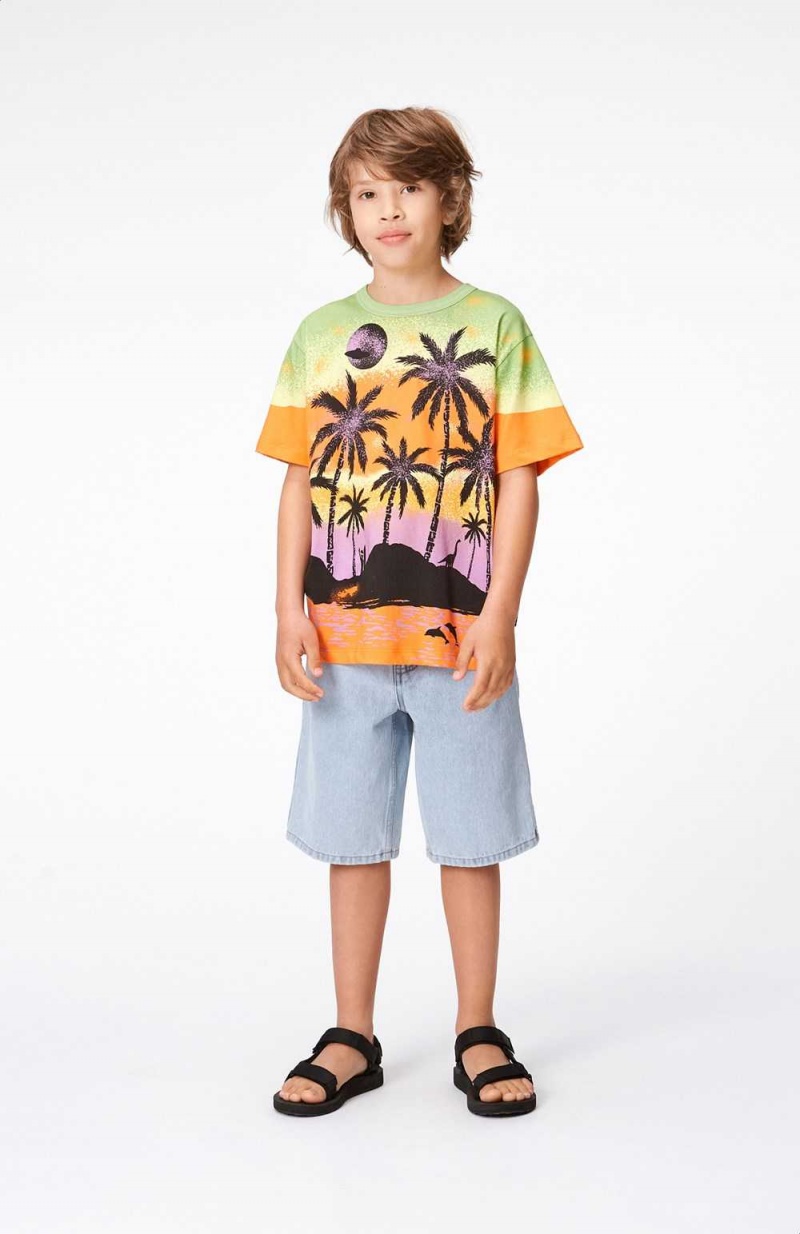 Molo Riley Boys' T Shirts Tops Alien Island | ZA0000773