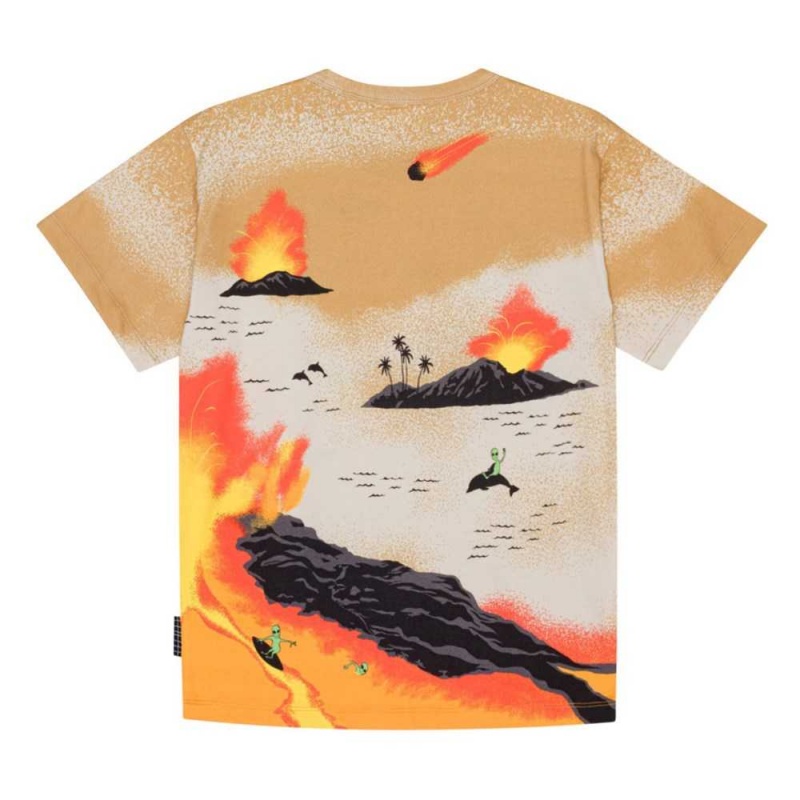 Molo Riley Boys' T Shirts Tops Alien Tourists | ZA0000806