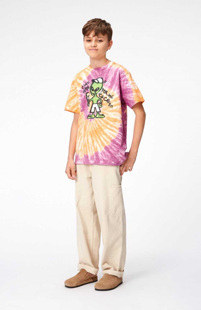 Molo Riley Boys' T Shirts Tops Ember Purple Dye | ZA0000783