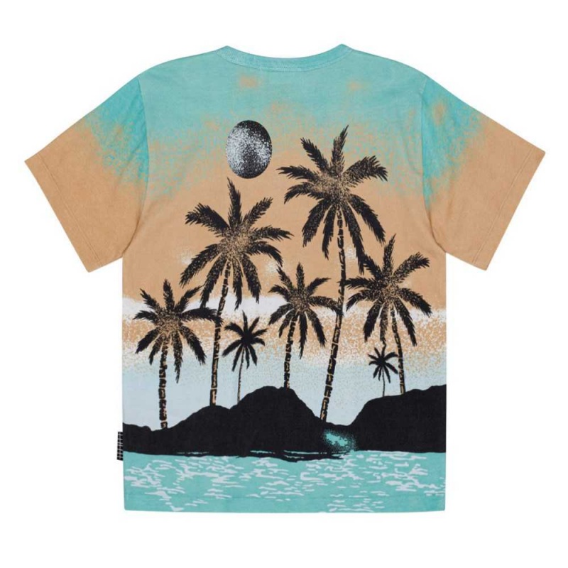 Molo Riley Boys' T Shirts Tops Holiday Island | ZA0000778