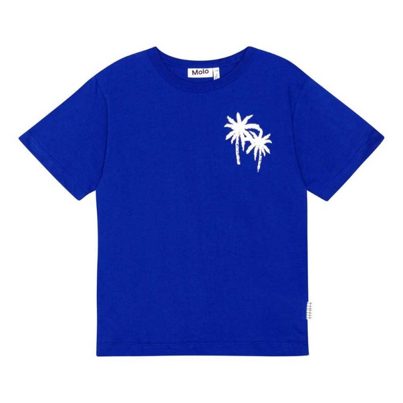 Molo Riley Boys' T Shirts Tops Reef Blue | ZA0000770