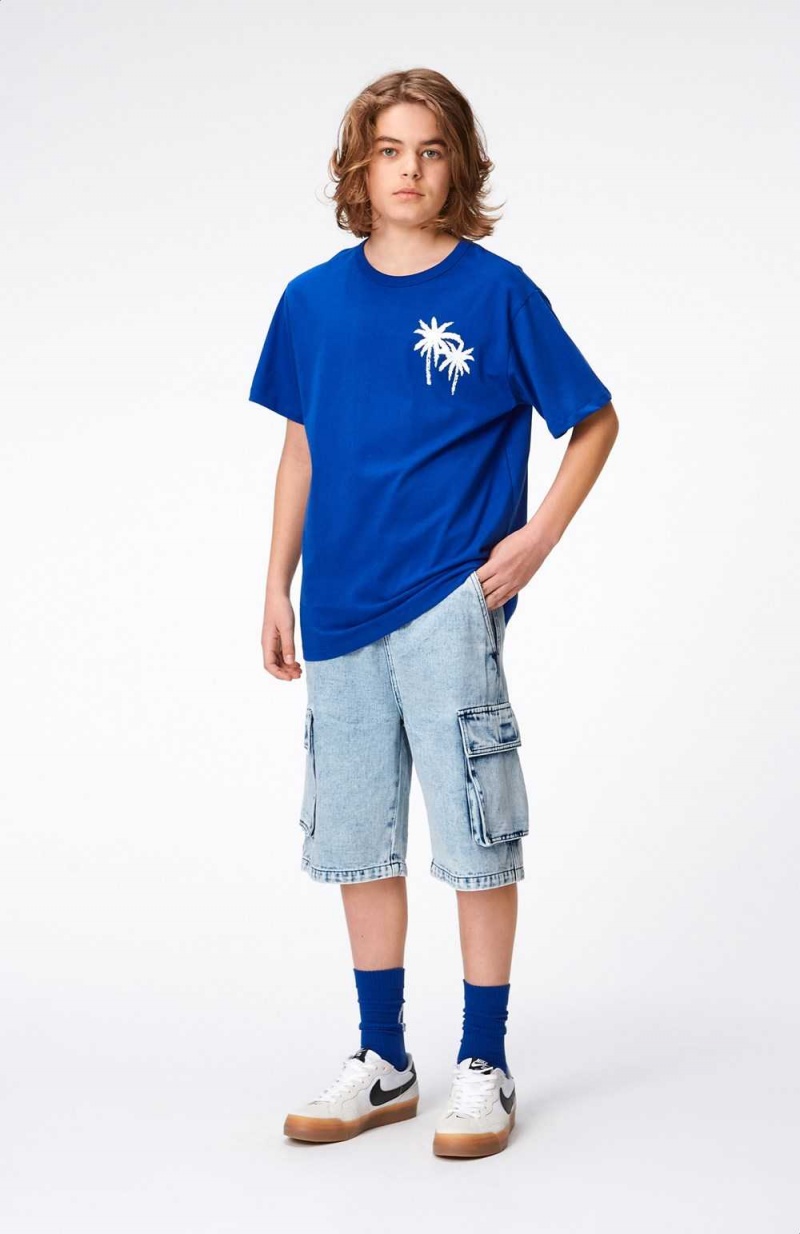 Molo Riley Boys' T Shirts Tops Reef Blue | ZA0000770