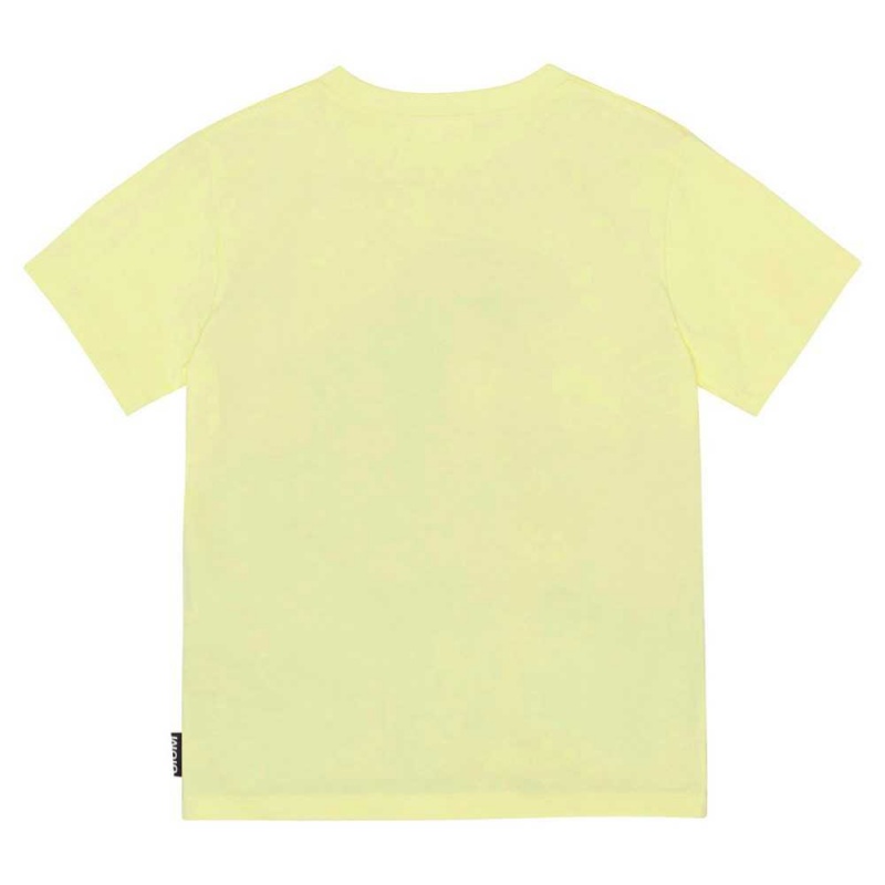 Molo Riley Boys' T Shirts Tops Volcano Dino | ZA0000808