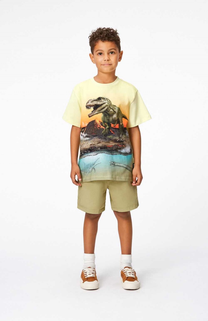 Molo Riley Boys' T Shirts Tops Volcano Dino | ZA0000808