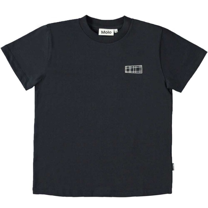 Molo Roxo 2-pack Boys' T Shirts Tops Navy Grey | ZA0000870