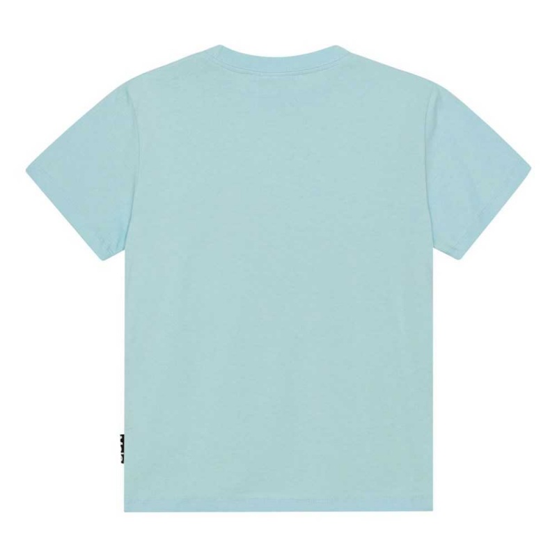 Molo Roxo Boys' T Shirts Tops Beach Dino | ZA0000809