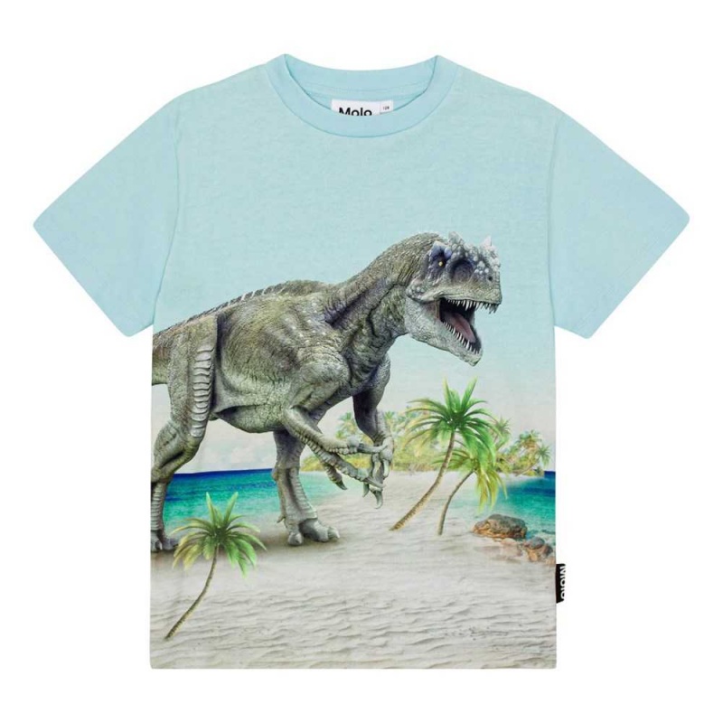 Molo Roxo Boys\' T Shirts Tops Beach Dino | ZA0000809