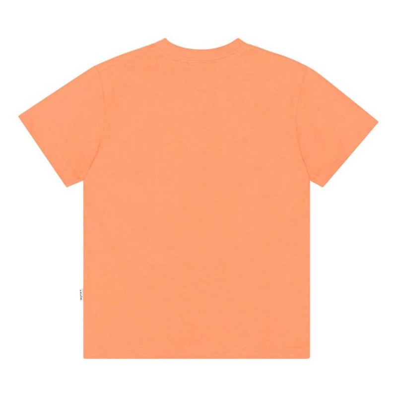 Molo Roxo Boys' T Shirts Tops Ember | ZA0000782