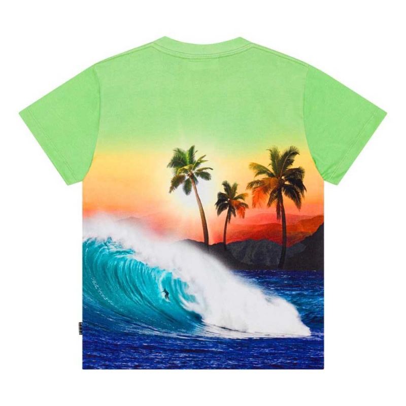 Molo Roxo Boys' T Shirts Tops Green Sunset | ZA0000771