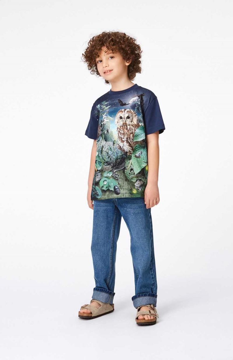 Molo Roxo Boys' T Shirts Tops Night Garden | ZA0000826