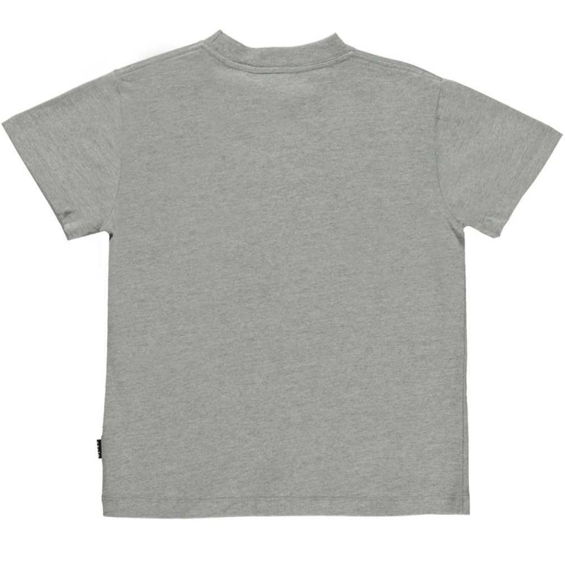 Molo Roxo Girls' T Shirts Tops Grey Melange | ZA0000596